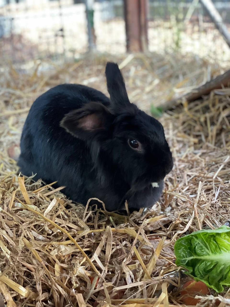 photo_2023-05-31_19-22-58