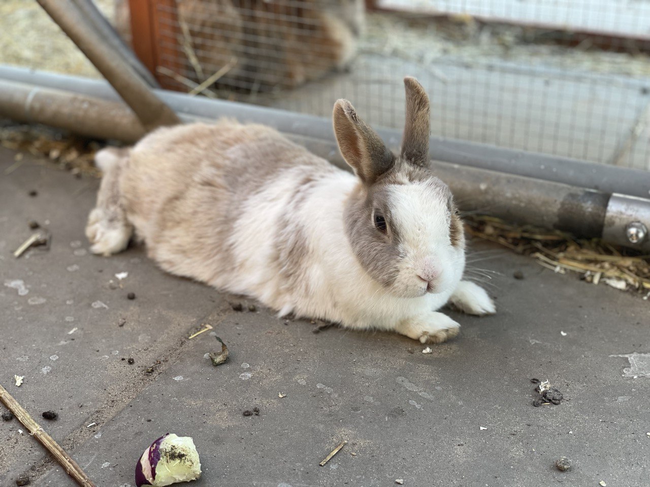 photo_5_2023-09-08_18-39-20